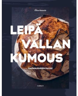 LEIPÄVALLANKUMOUS HYVÄN OLON HAPANJUURI Main Image