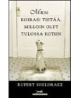 SHELDRAKE: MIKSI KOIRASI TIETÄÄ, MILLOIN Main Image