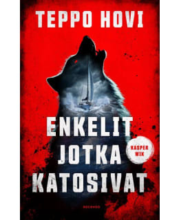 HOVI: ENKELIT JOTKA KATOSIVAT Main Image