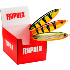 Rapala Minnow Spoon 07-08 assortment