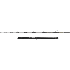 Penn Regiment Iv Jig 6Ft F 30-50Lb C 1Sec Conv avokelavapa