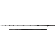 Penn Regiment Iv Uptide 3.04M F 70-300G 2Sec Conv Spinning Rods