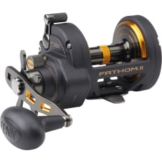 Penn Fathom Ii 40 Star Drag 7Bb 6.1:1 Right Conventional Reels