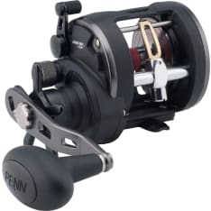 Penn Warfare Level Wind 15 Star Drag 3Bb Rh 5.1:1 Right Conventional Reels