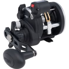 Penn Rival Level Wind 15 Star Drag 2Bb 5.1:1 Right Conventional Reels