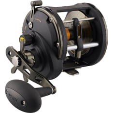 Penn Squall Ii Level Wind 50 Star Drag 4Bb 4.0:1 Right Conventional Reels