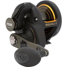 Penn Squall Ii 25 Lever Drag 5Bb 5.3:1 Right hyrräkela