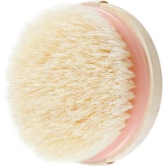 Ecotools Dry Brush kuivaharja