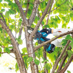 Makita LXT DUC101SF 18V oksasaha