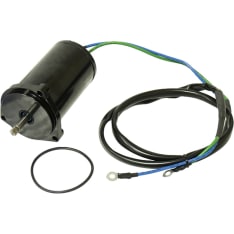 Sea-X Yamaha trim motor