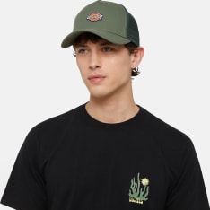 Dickies Hanston miesten lippis
