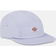 Dickies Albertville men's cap