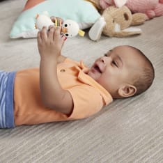 Fisher-Price Sensimals helistin (lajitelma)