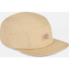 Dickies Albertville men's cap