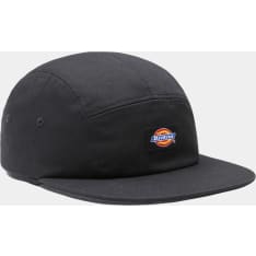Dickies Albertville men's cap