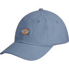 Dickies Hardwick lasten lippis