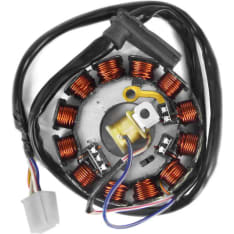 TNT Minarelli AM6 12-pole lower coil