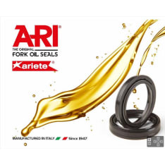 ARI 22-A057 41 x 53 x 8/10.5mm oil seal