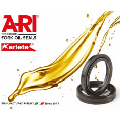 ARI 22-A041 41 x 53 x 10.5mm oil seal
