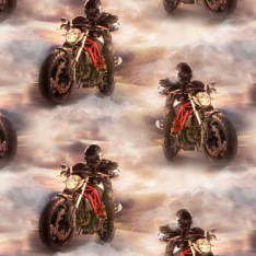 Textile Dark rider 150 cm jersey fabric