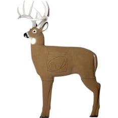 Glendel Buck 142 cm  3-D peura jousitausta