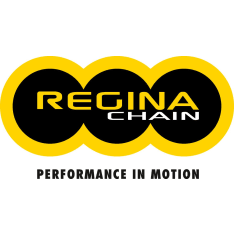 Regina 420 GOLD (4.08mm) headphones