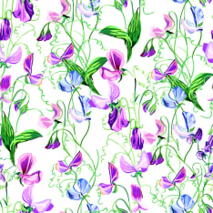 Digiprint Sweat Pea 150 cm jersey fabric