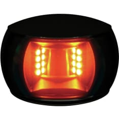 Naviled yellow, black shell