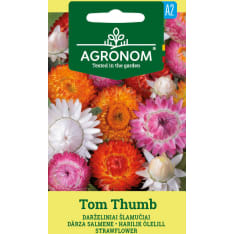 Olkikukka Tom Thumb siemen