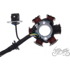 WM STD20011 stator