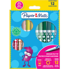 Paper Mate Felt Tip Pens 12 kpl huopakynä