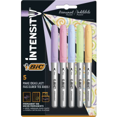 BIC Intensity Colour Marker pastelli askartelutussi