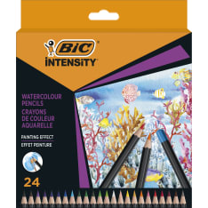BIC Intensity 24 kpl vesivärikynät