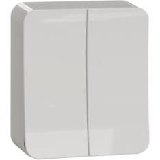 Schneider Electric Exxact 5 crown surface switch