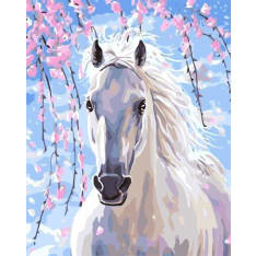 Figured Art paint by numbers framed white horse and