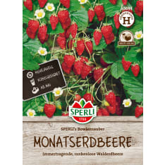 Monthly strawberry Sperli's Bowlenzauber seed