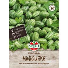 Jungle cucumber Sperli's Sandia