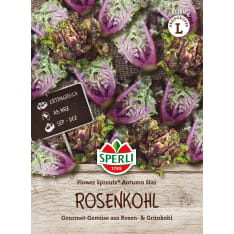 Ruusukaali Flower Sprouts® Autumn Star F1