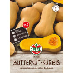 Myskikurpitsa Hunter