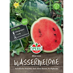 Water melon Mini Love