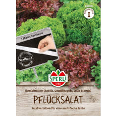 Lettuce mix in a ribbon seed