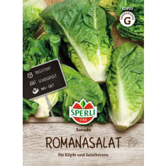 Sperli RoomansaIaatti Xanadu Ann siemen