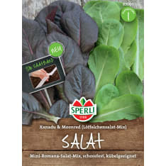 Sperli  minisidesalaatti sekoite siemen