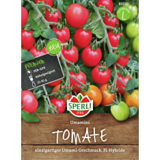 Miniluumutomaatti Umamini