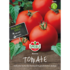 Sperli tomaatti Matina  siemen