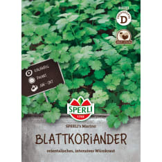 Coriander Marino seed