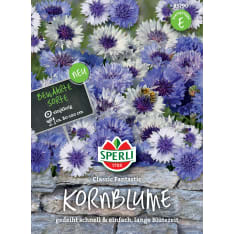 Cornflower Classic Fantastic