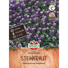 Scent of a royal carpet seed