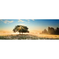 Heye Alexander von Humboldt Play of Light 1000pcs puzzle panorama