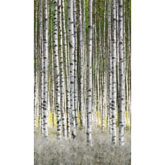 Smart 47220 Art Easy 1,59 x 2,70m non-woven kuvatapetti